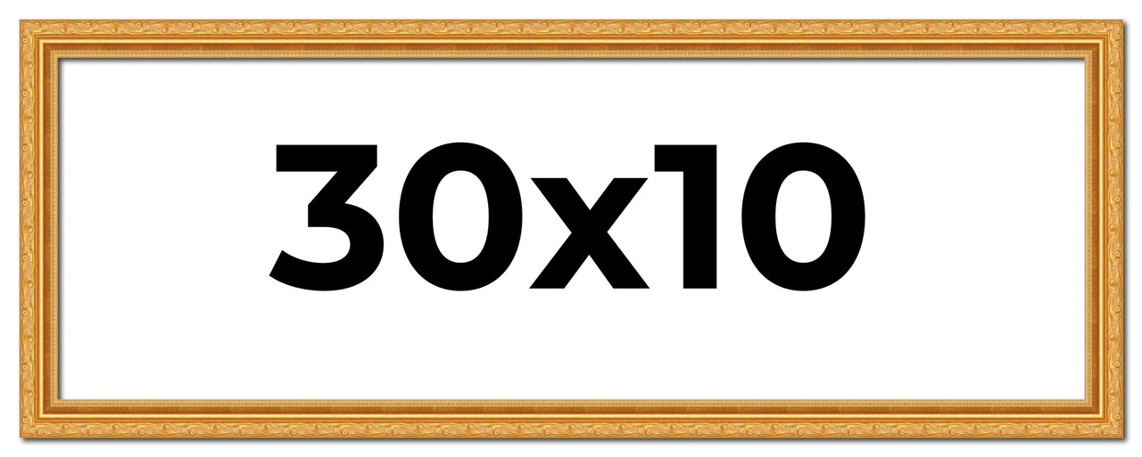 30x10 Solid Wood Antique Picture Frame with UV-Resistant Acrylic & Acid-Free Backing, Available in 4 Finishes: Bronze, Gold, Silver, and Gold with Black